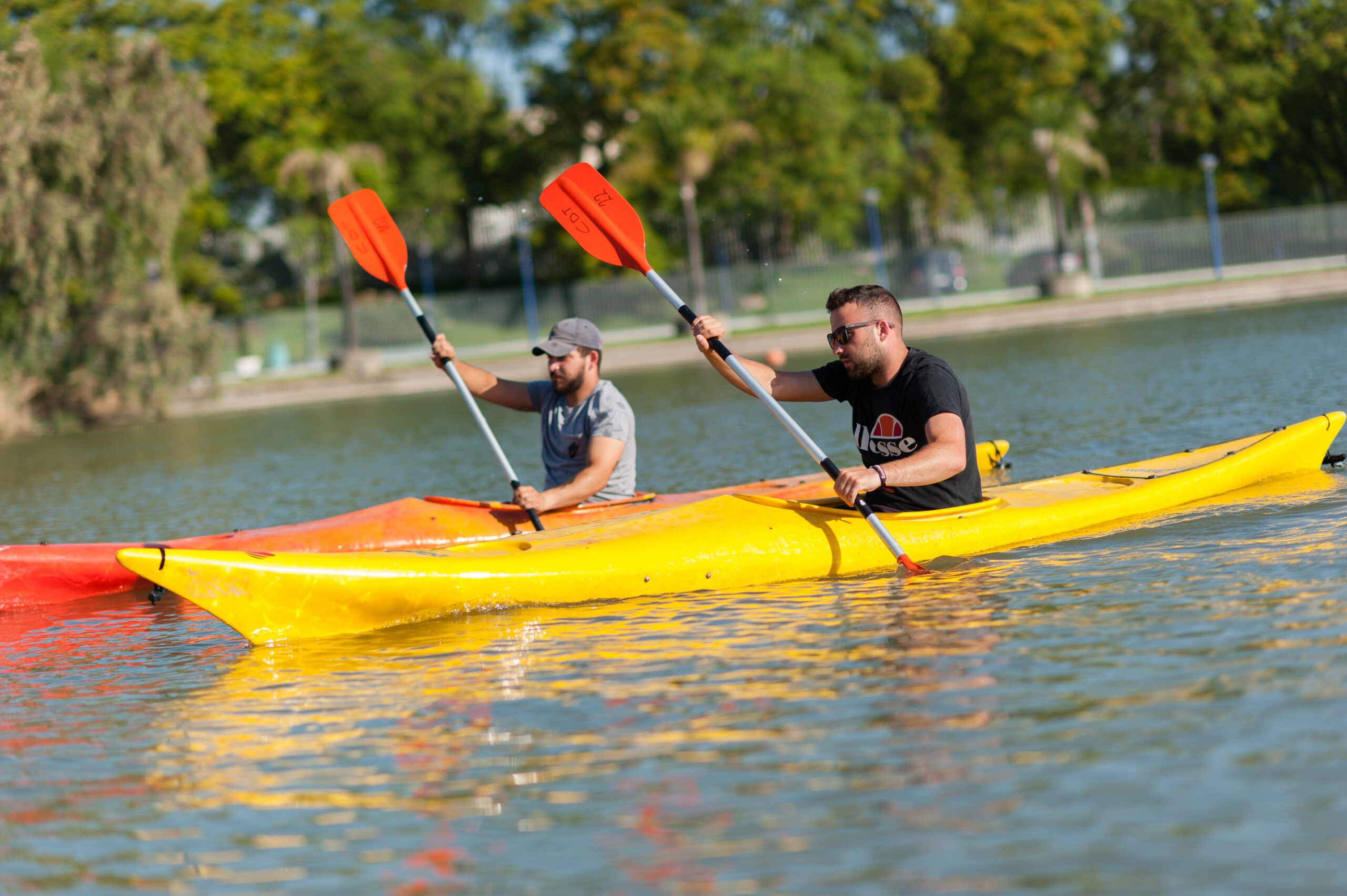 Alquiler kayak